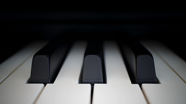 Piano Performance Services